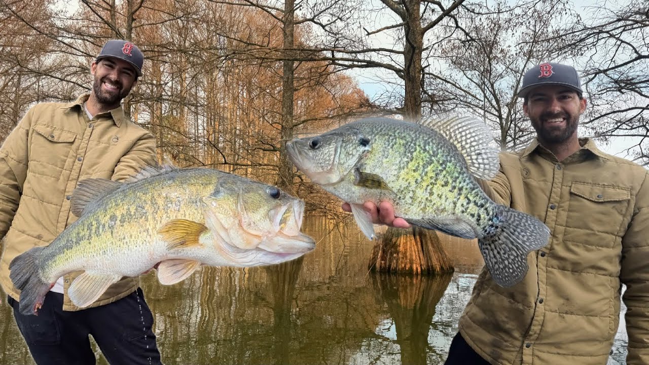 Ловля рыбы на поплавок: только для настоящих монстров (огромных рыб)