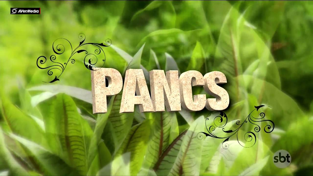 Série PANCs: plantas alimentícias não convencionais - Parte 1