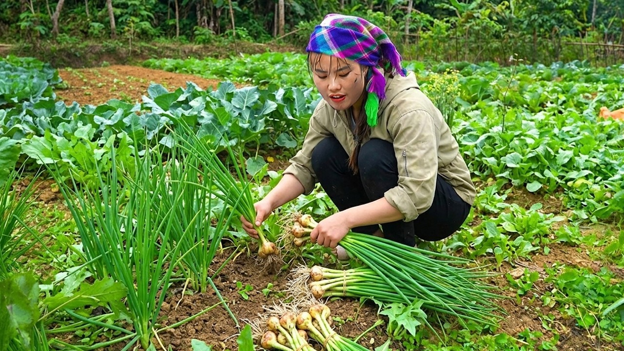 Harvesting Green Onions from My Garden &ndash; Cooking with My Daughter and Market Selling