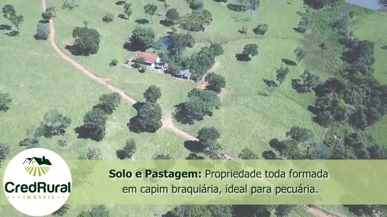 Fazenda à venda em Bela Vista de Goiás GO - 38,7 alqueires - CredRural Imóveis