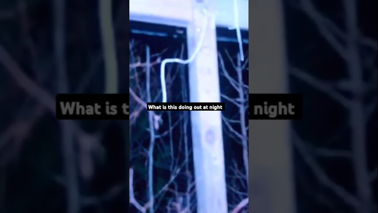 Creepy Discovery Inside Abandoned House