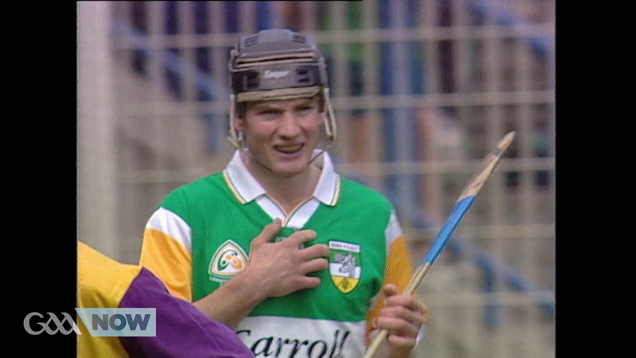 1996 Leinster SHC Final: Offaly v Wexford
