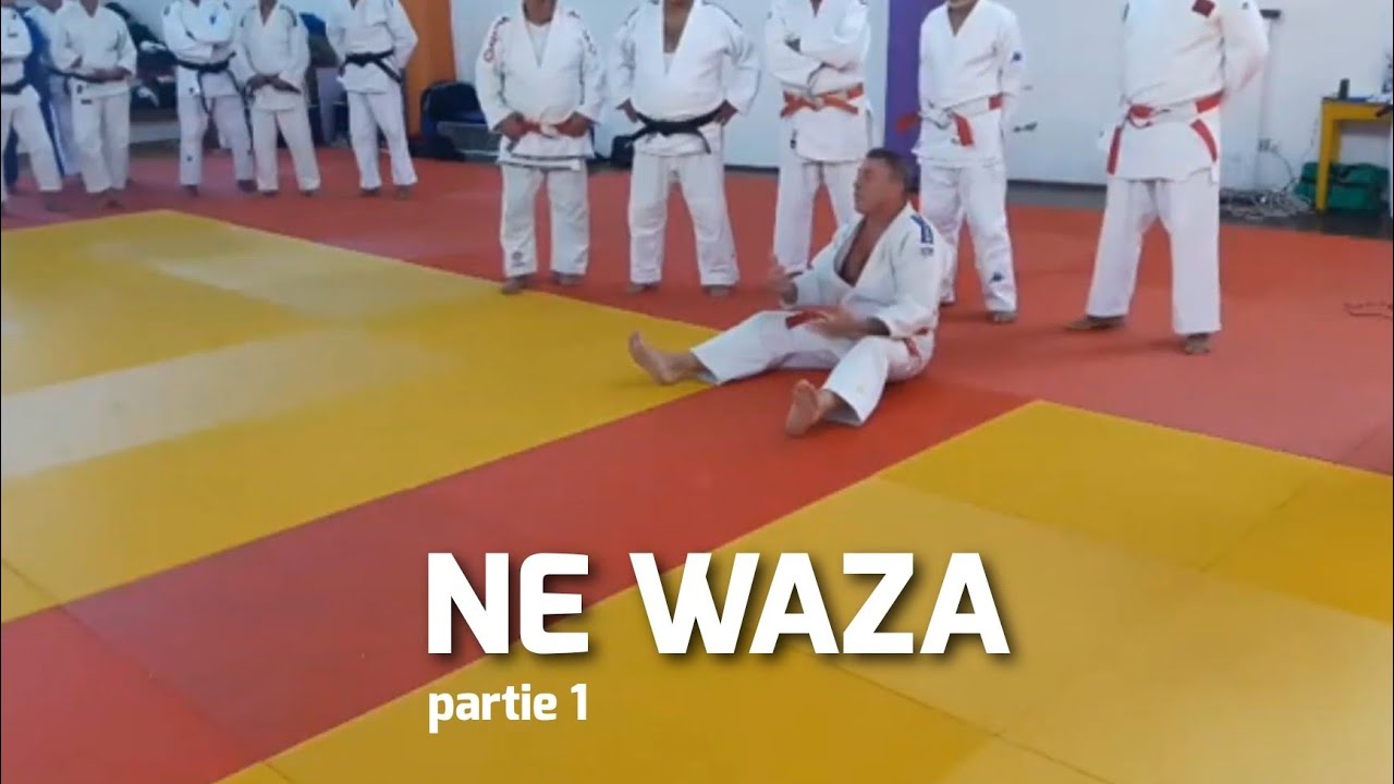 Emmanuel LEROUX  Stage de Judo NE WAZA PARTIR 1