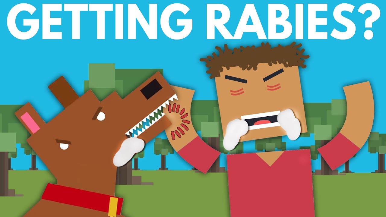 What Happens When You Get Rabies? - Dear Blocko #2