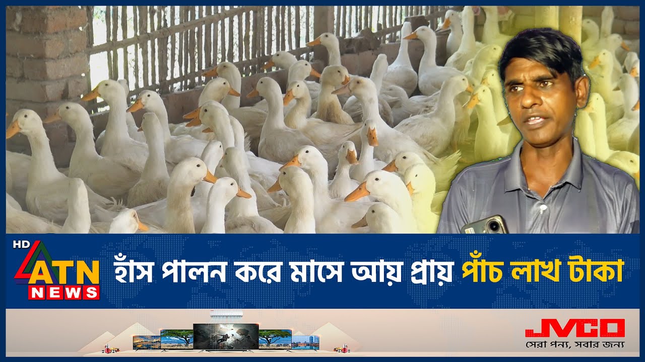 হাঁস পালন করে মাসে আয় প্রায় পাঁচ লাখ টাকা | Duck Farming | Profit | ATN News
