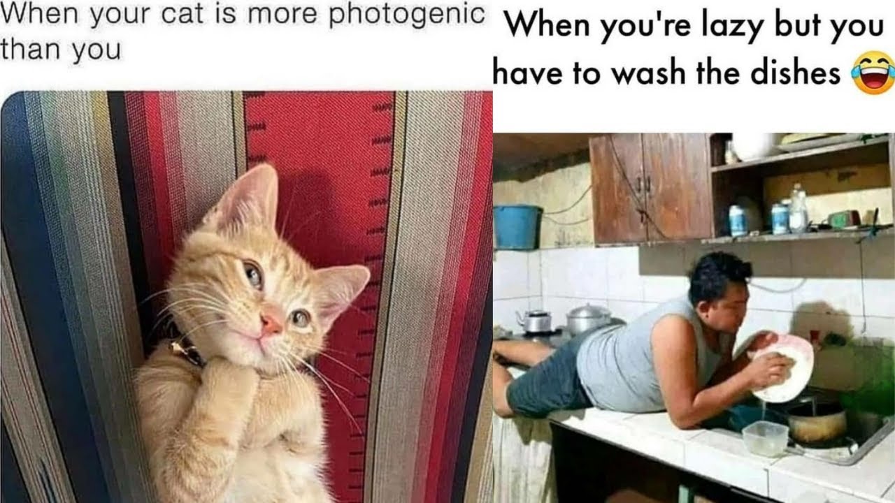 Funny Memes That Will Make You Laugh || Funny Memes || Dank Memes || Relatable Memes #261
