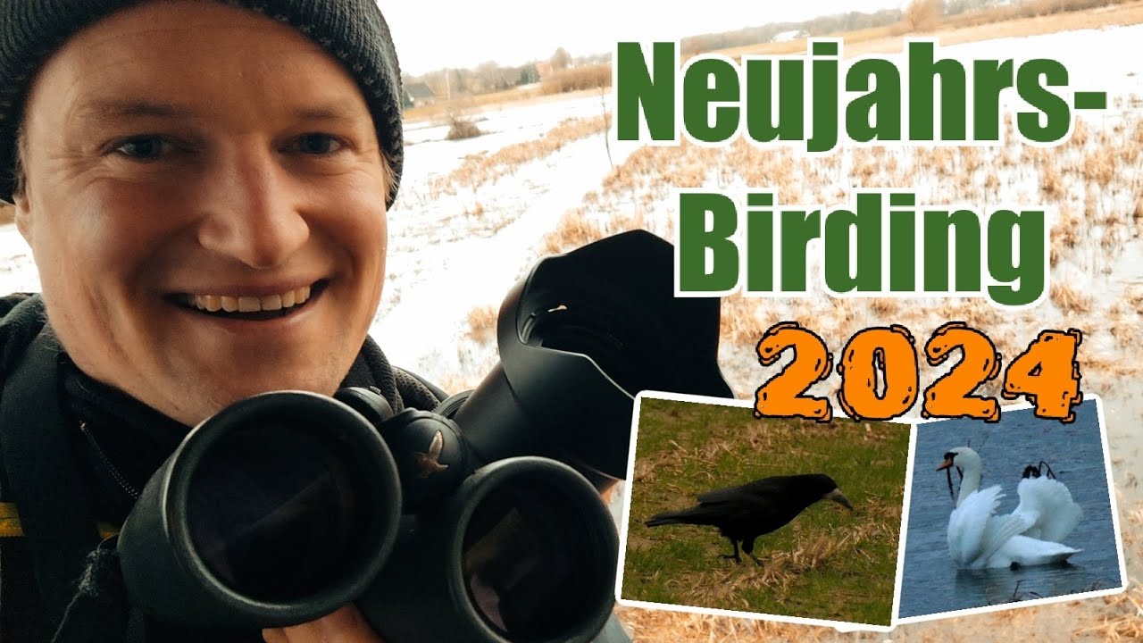 Neujahrs-Birding 2024  - Knacken wir die 55 Vogelarten? 😯 KOMMT MIT! 😍#natur #nature #vögel #birds