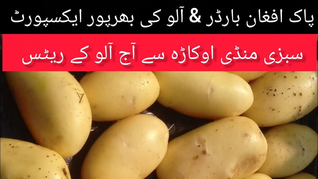 Potato rates today in Okara, the major export vegetable market of Pak-Afghan border potato