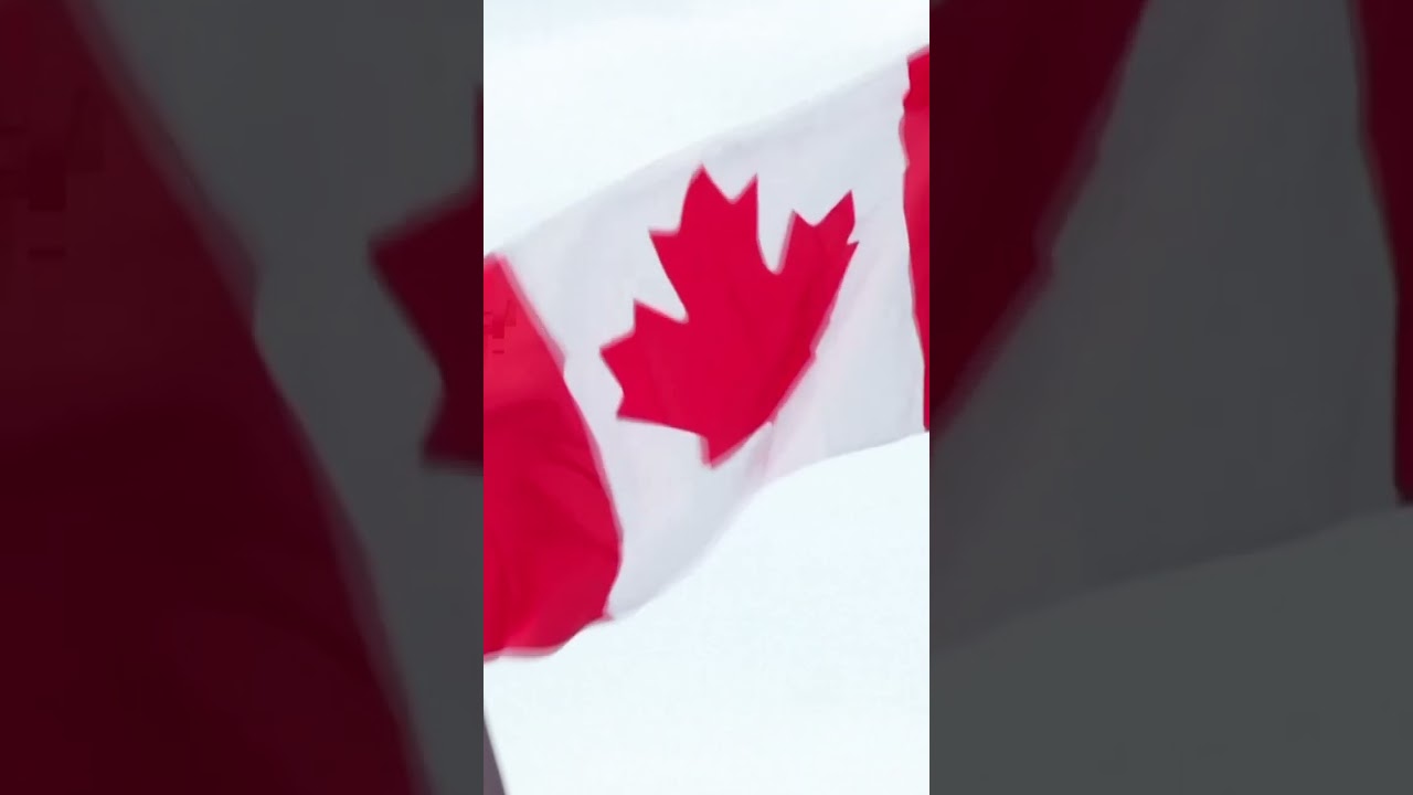 France and Canada Open Missions in Greenland in Solidarity with Denmark | DWS News | AC1C