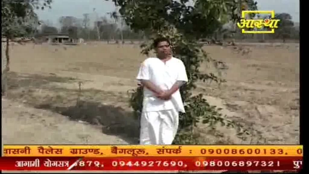 Medical Use of Bael tree, or ShriFal