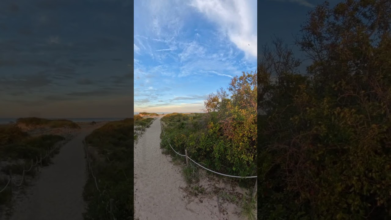 A beauty tonight in Cape Henlopen, Lewes Delaware. #delaware #beach #beachpath #beachscenes