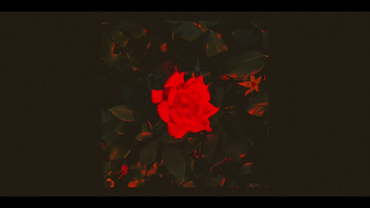 Wild Flower ~ Full Beat-Tape