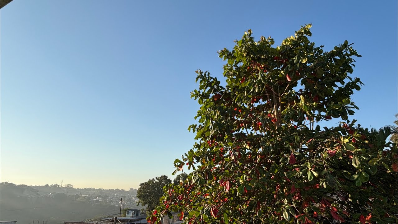 Bello amanecer desde El Salvador sv #diaspora #usa #canada #europe