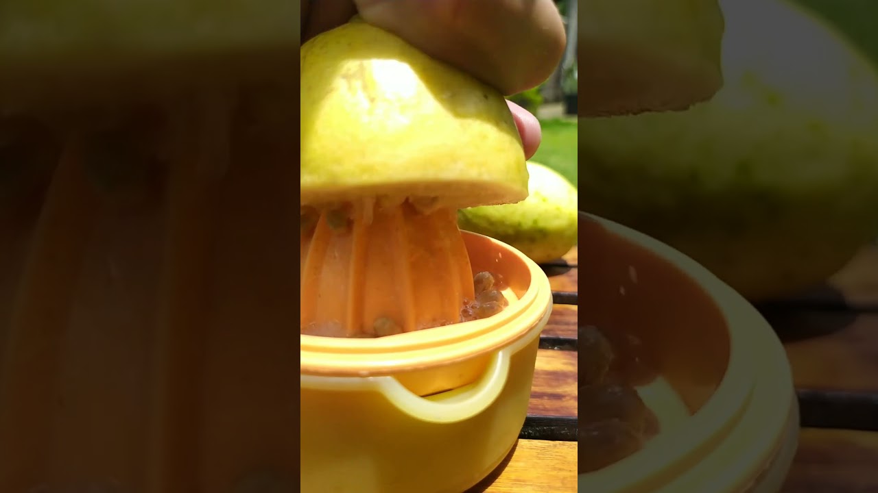 Beating the Summer Heat with Lemonade