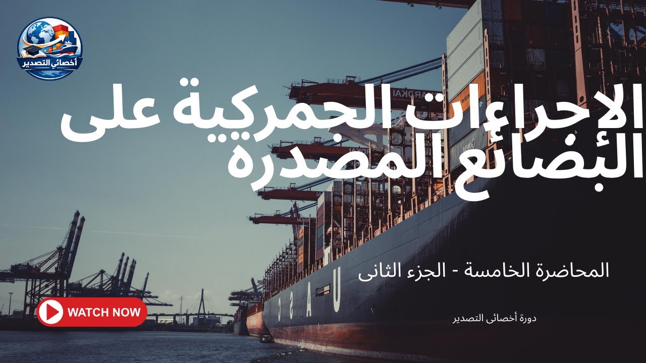 الخلاصة الممنوعة! 🤫 كيف تنهي إجراءات شحنتك الجمركية 
