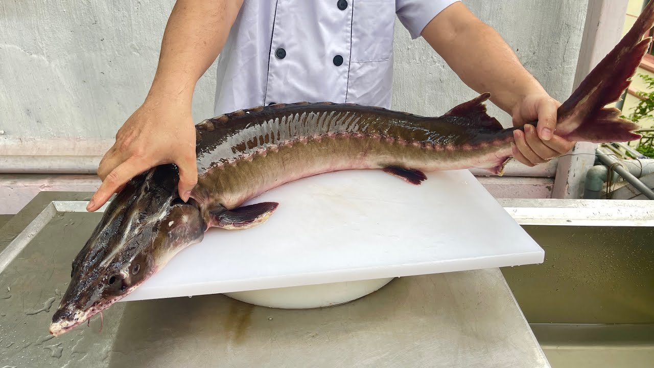 Cá tầm nấu canh chua // Sơn Hào