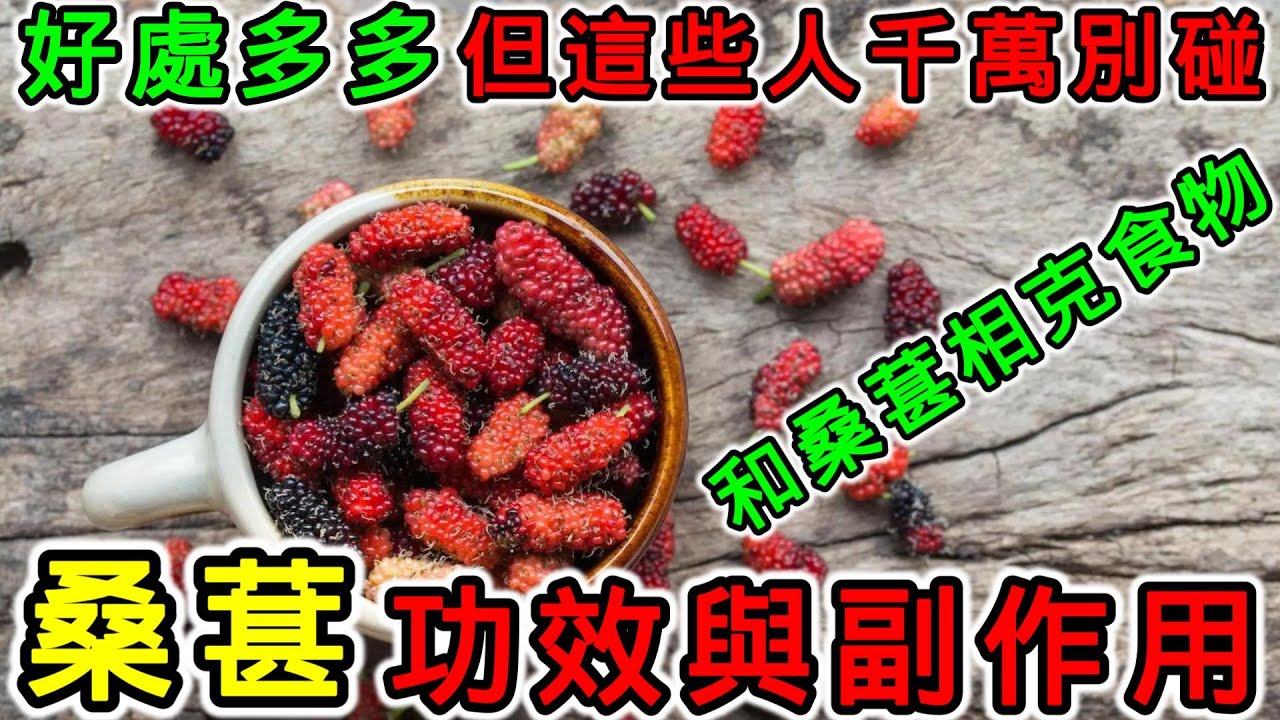 桑葚的功效和副作用，桑葚不能和什麼一起吃？什麼人不能吃桑椹？桑葚不能和哪些水果一起吃？桑葚泡水可以每天喝嗎？枸杞和桑葚可以一起泡嗎？