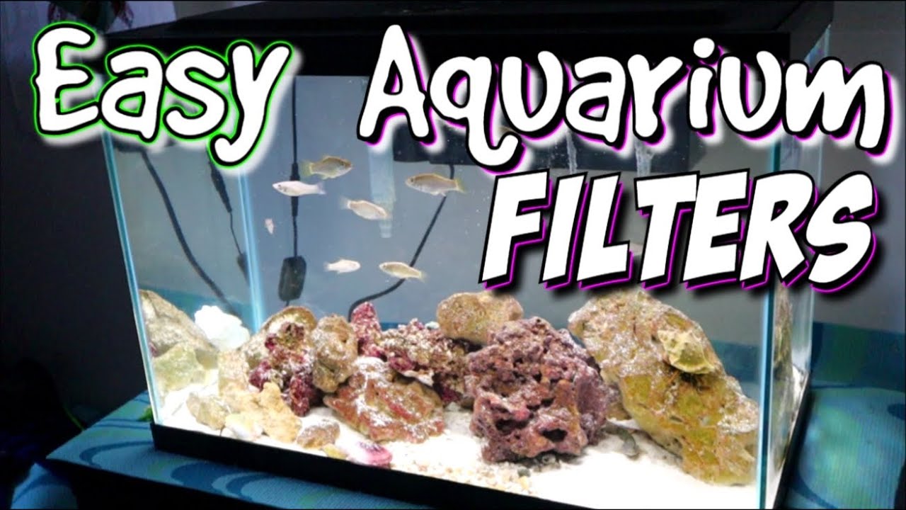 I Changed ALL My Aquarium Filters To THESE!! - A1A Adventures