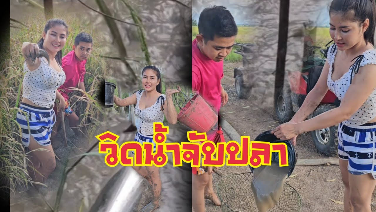 จับปลามุมนา ปลาหมอเยอะมาก