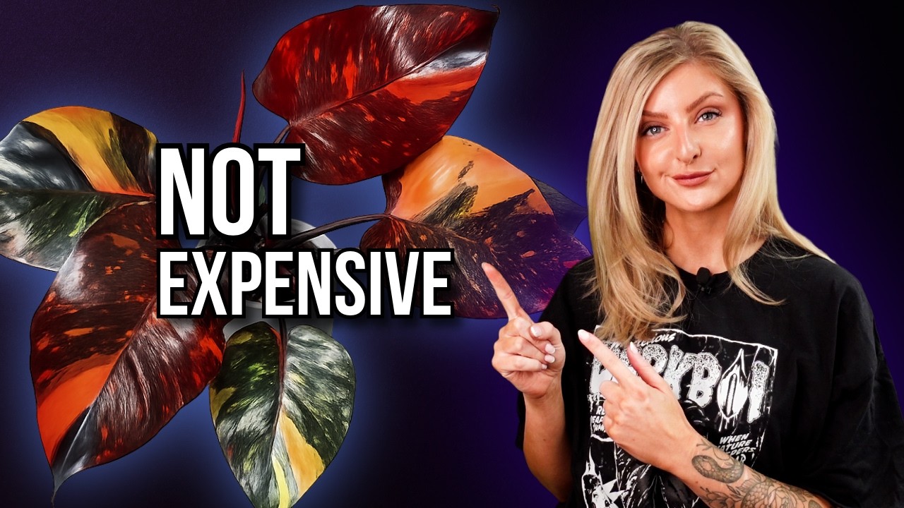 Plants That Look Expensive (But Aren&rsquo;t)