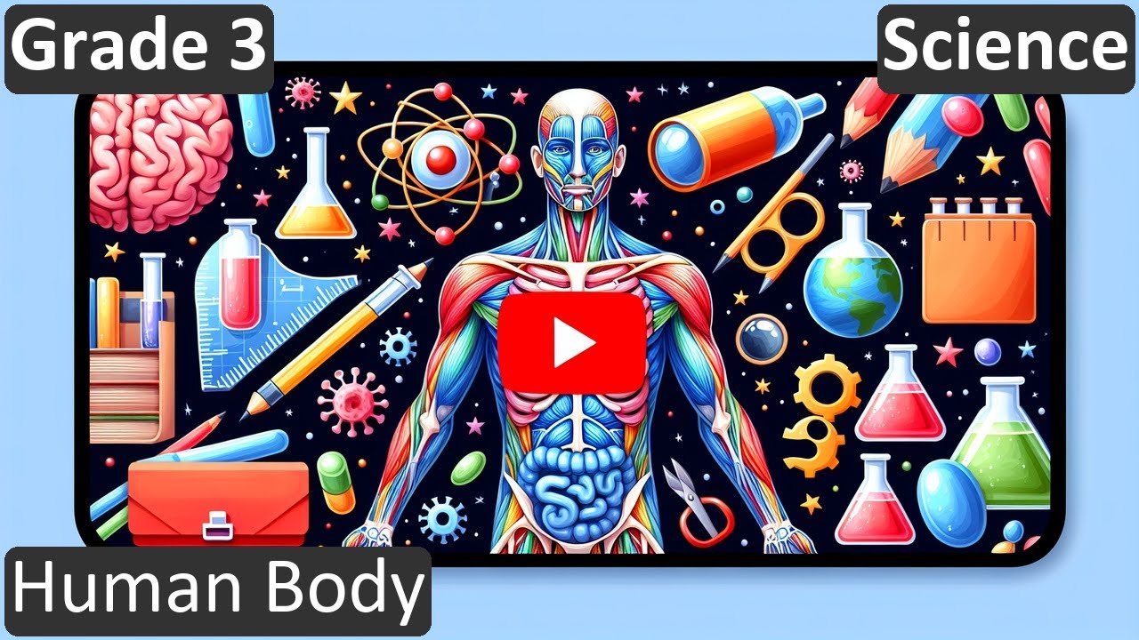 Grade 3 | Science | Human Body | Free Tutorial | CBSE | ICSE | State Board