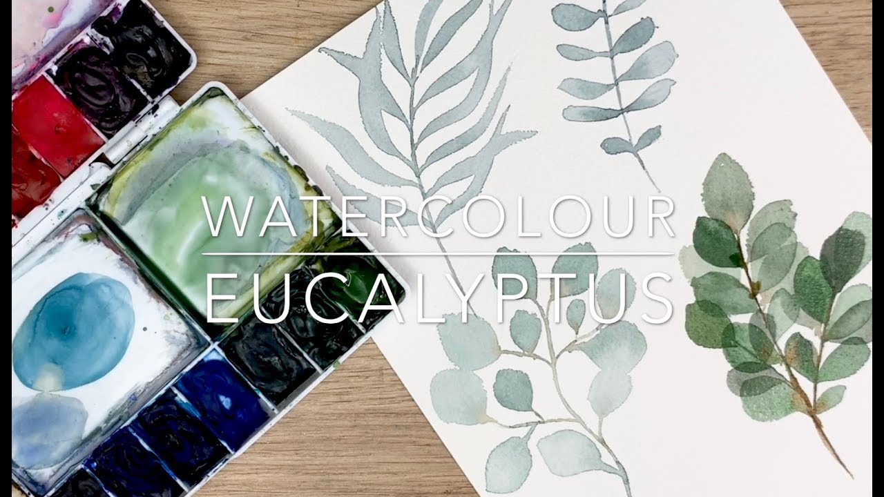 How To Paint Watercolour Eucalyptus Leaves