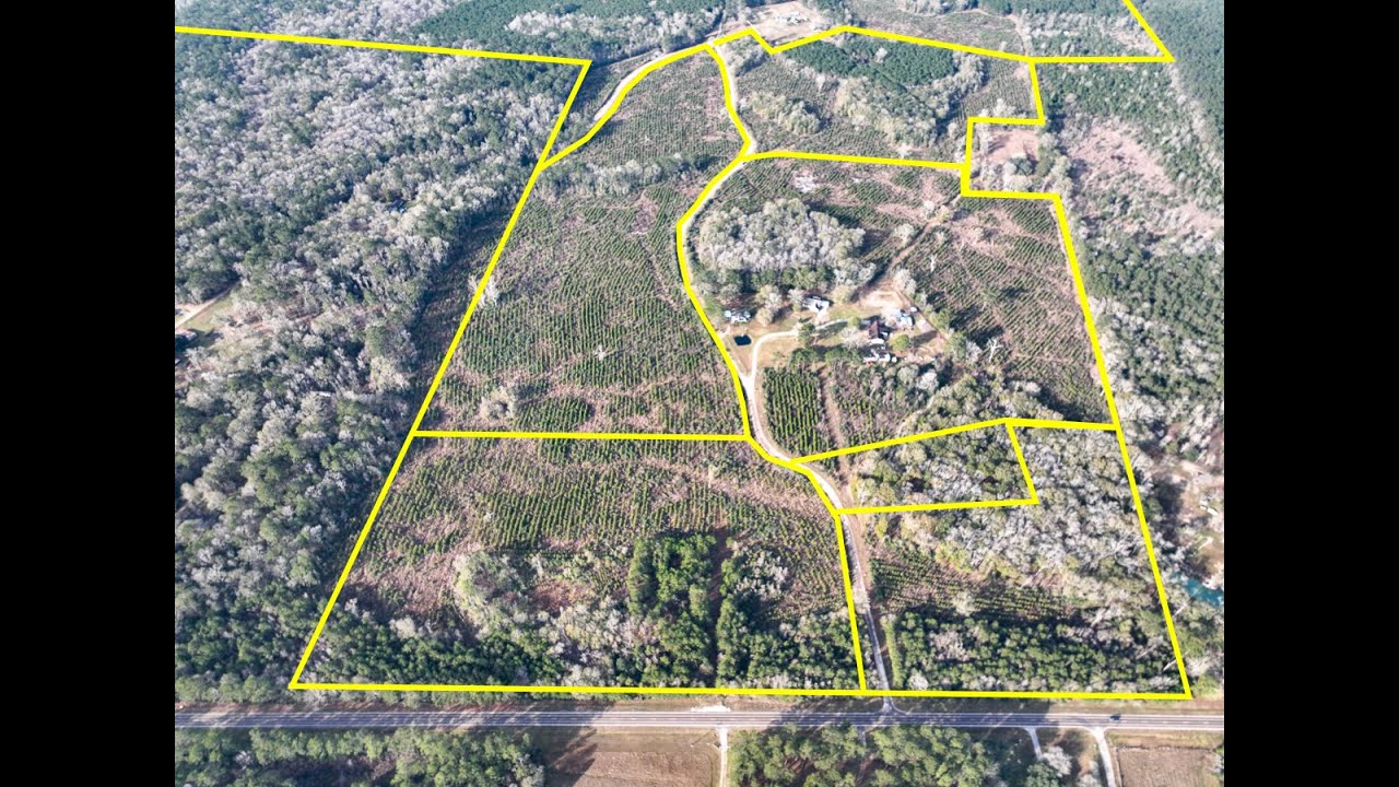 Various Tracts | Off FM 787 | Hardin Co., Texas