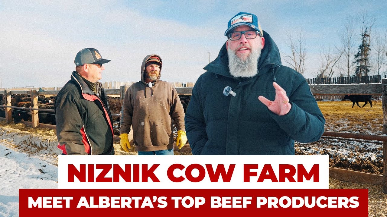 Отправьтесь на экскурсию на ферму Niznik Farms в Бруксе, Альберта | Chef2K