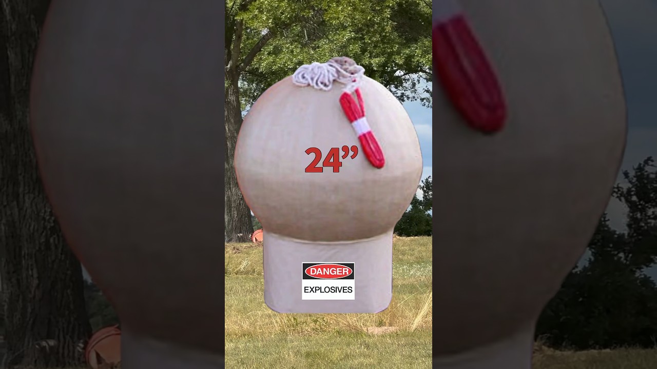 24&rdquo; FIREWORK SHELL / Pyrotechnics Guild International 2024 #Shorts #Fireworks #PGI