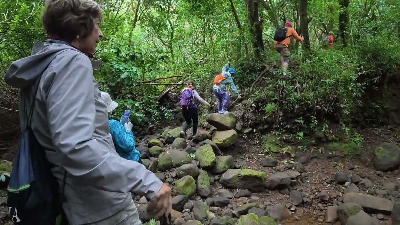 Waipuilani Falls with the Group   4K