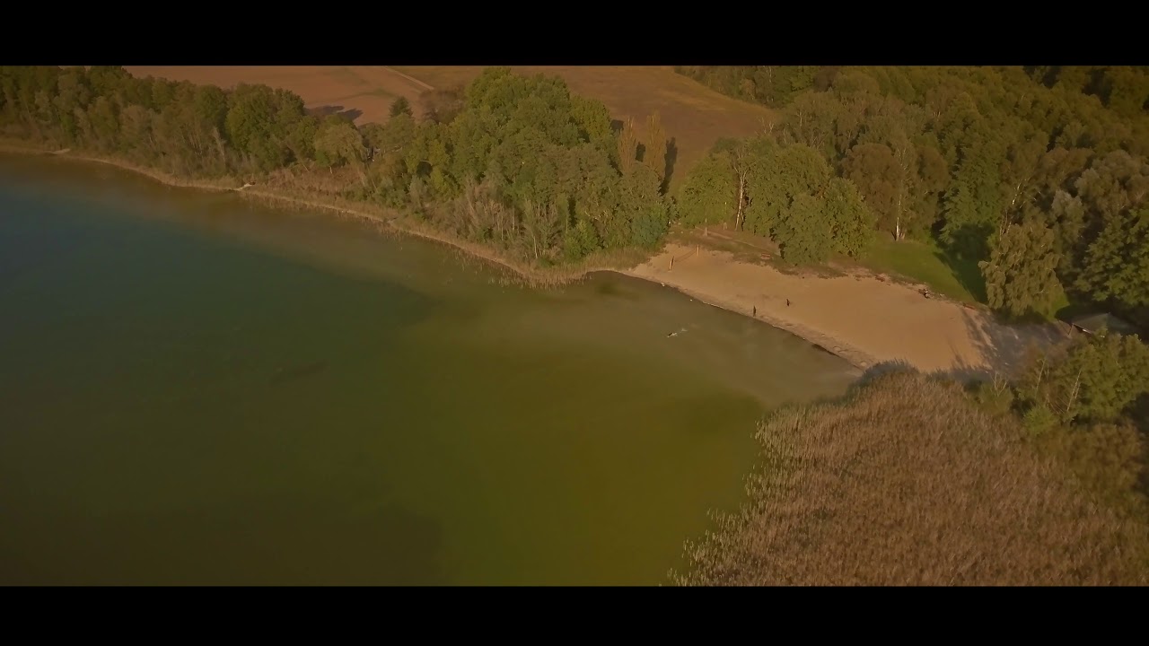 The Muddy Lake