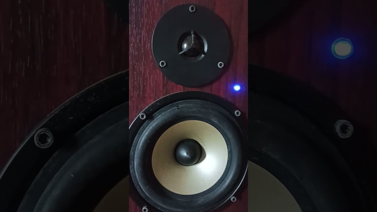 ISK DS5A Flat Monitor Speaker Test #shorts