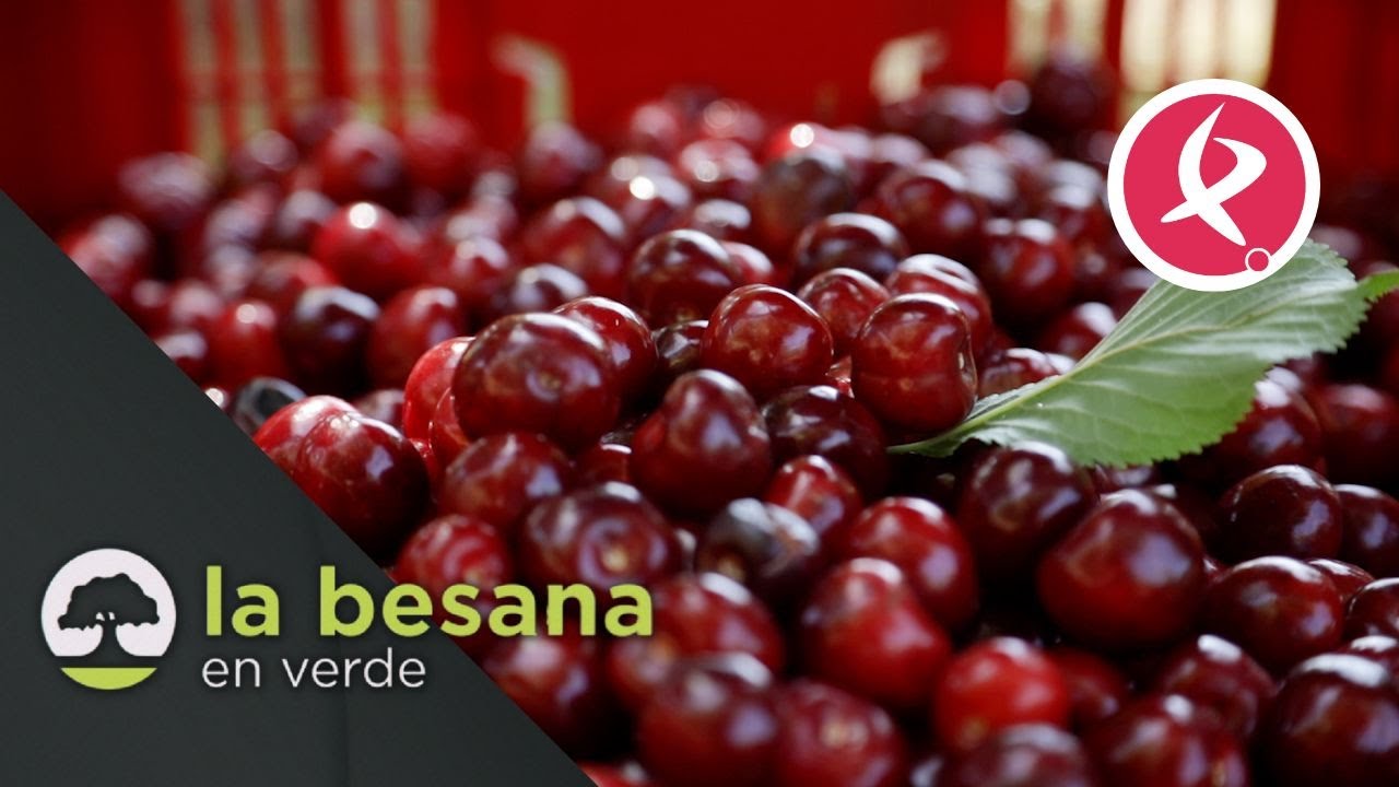 Agroecología para fijar población en el mundo rural | La besana en verde