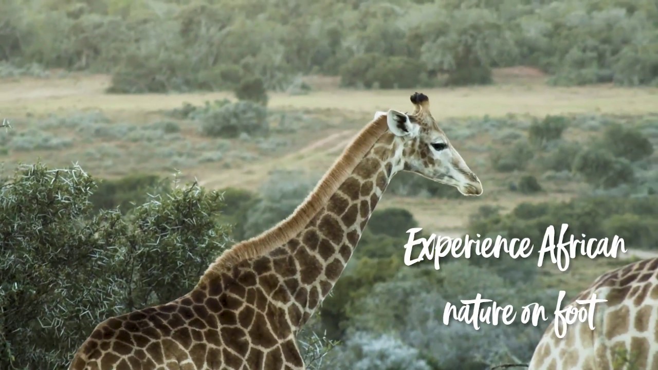 It's all Yours! - Explore our Adventure - Nelson Mandela Bay #sharethebay