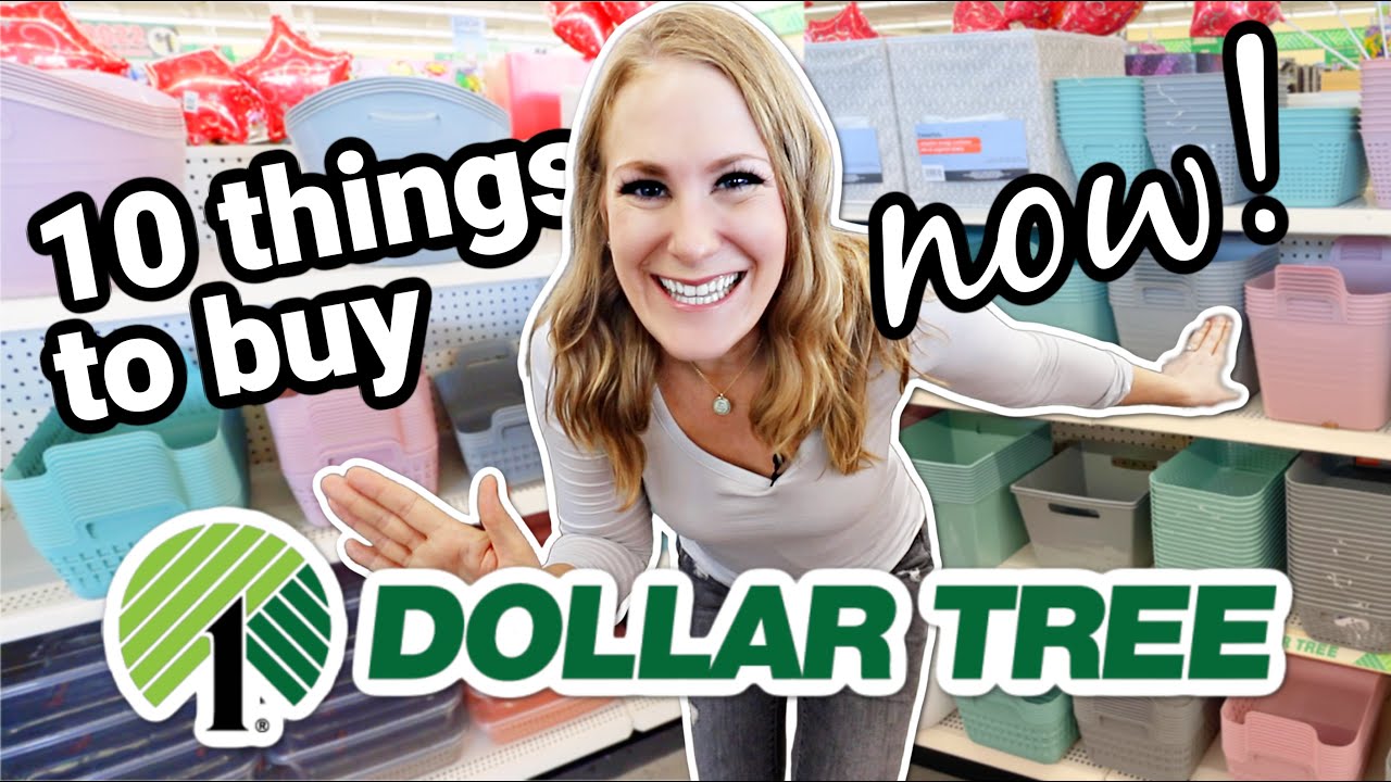 Dollar Tree Secret Scores you SHOULD buy right NOW! 😱ORGANIZE YOUR ENTIRE HOME (don't miss!)