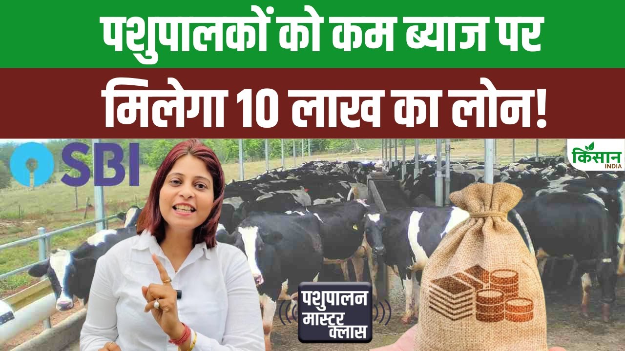 SBI Pashupalan Loan Yojana: SBI दे रहा है 10 लाख तक लोन और 25% सब्सिडी, जानें आवेदन करने का तरीका