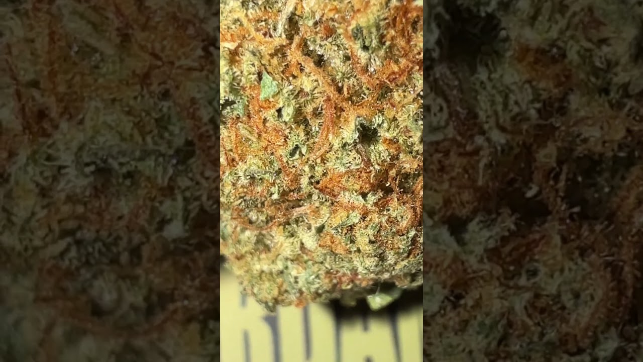 Insane OG