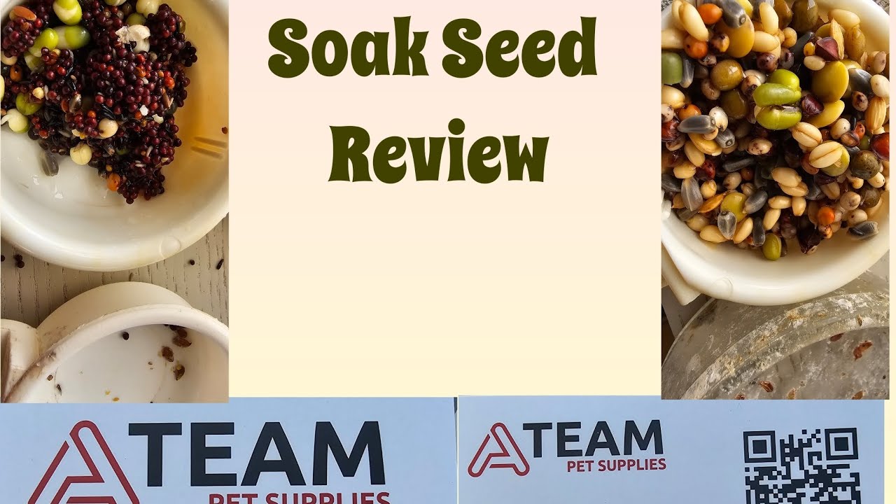 Canary and Greenfinch Soak Seed Review 