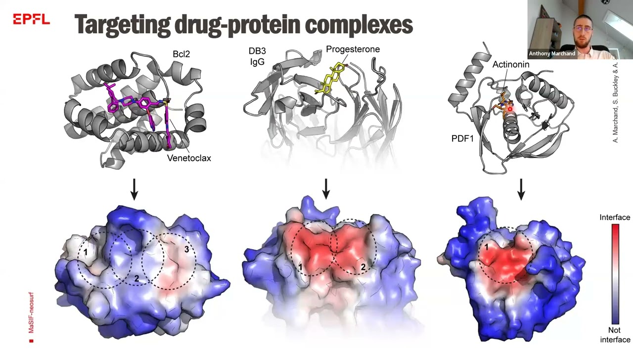 Targeting protein–ligand neosurfaces with a generalizable deep learning tool