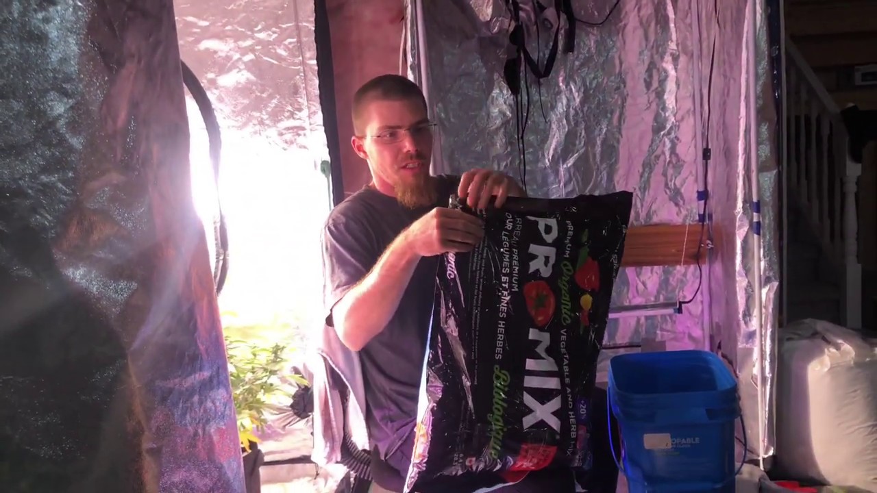 Planting Autoflowers