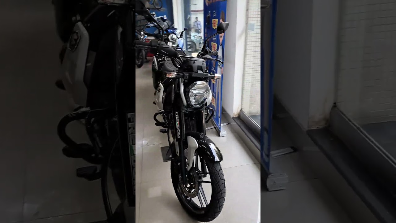 BAJAJ FREEDOM 125 CNG BIKE 