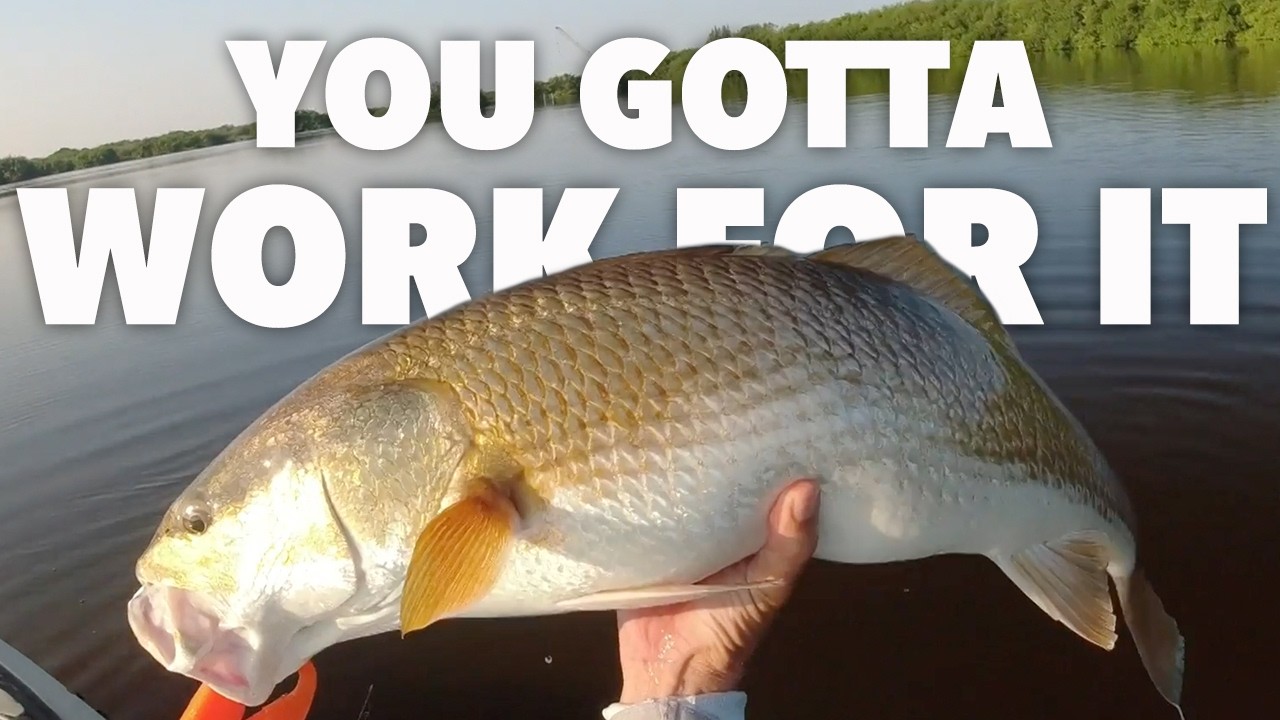 Catching Monster Redfish (no boats allowed)