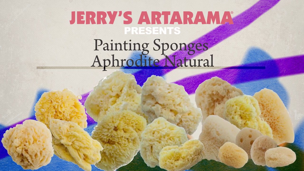 Aphrodite Natural Sea Sponges - Product Demo