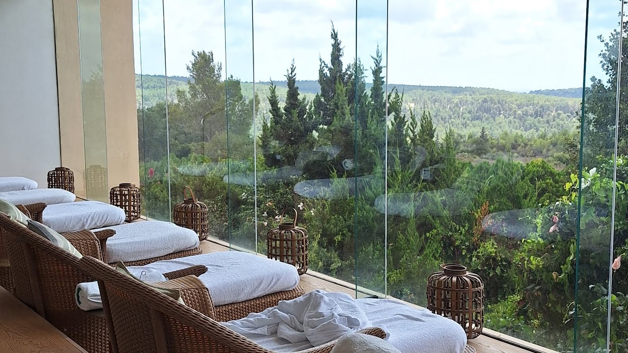 Carmel Forest# יערות הכרמל# незабываемый отдых# Israel 2025