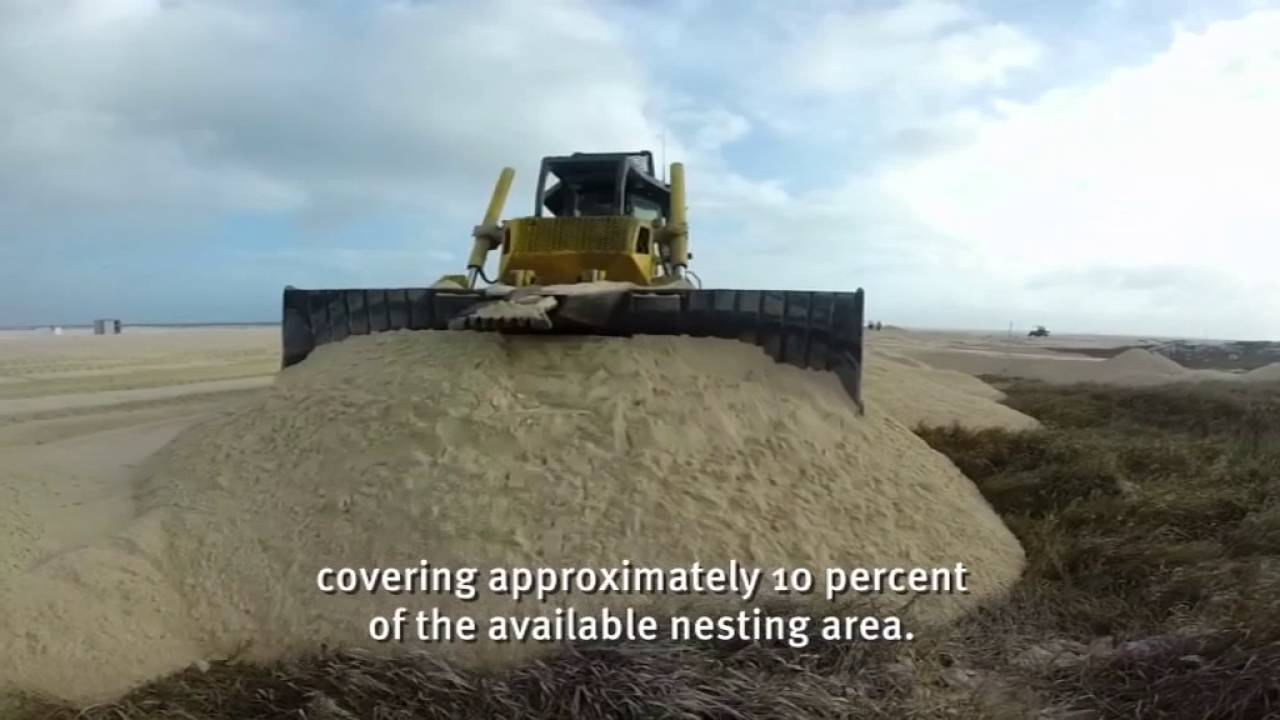 Raine Island Recovery Project