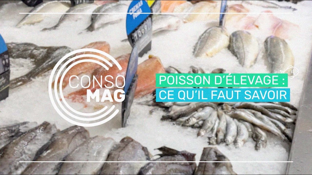 POISSON D’ÉLEVAGE : CE QU’IL FAUT SAVOIR #Consomag