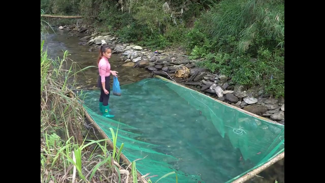 Smart Net Trap Catches Hundreds of Fish! 🐟