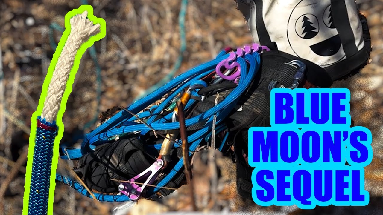 Blue 32 | Splice Vlog