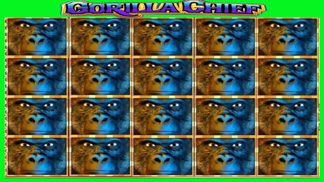 ★★JACKPOT HANDPAY★★$62 BETS★★GORILLA CHIEF HIGH LIMIT SLOT MACHINE BUENO DINERO MUSEUM SLOTS WMS