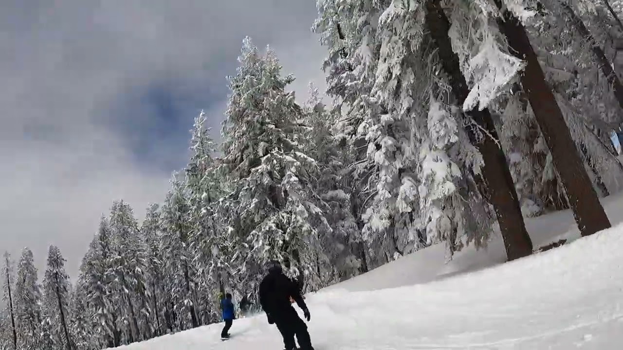 Feb 20 2026 Pow day